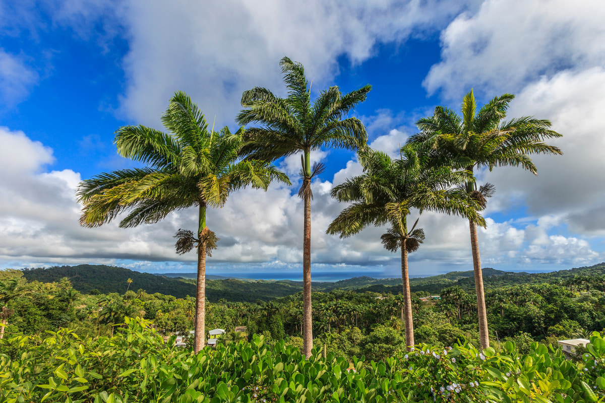 Crane Beach St Philip